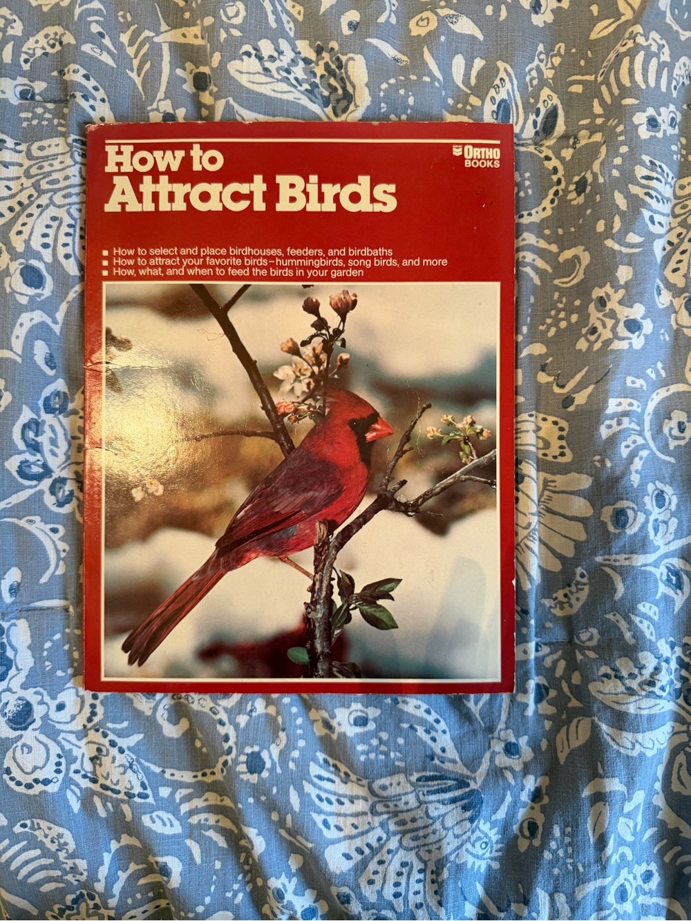 How to Attract Birds Book